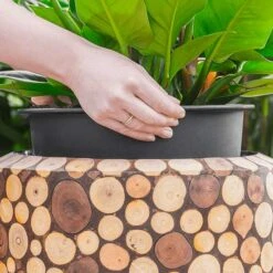 Facets Couple Planter - Ageless -Plant potted plants Facets Couple Planter Ageless 1