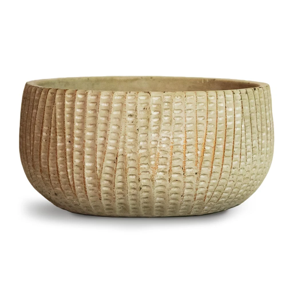 Feico Plant Bowl - Mint Grey 3 Feico Plant Bowl - Mint Grey