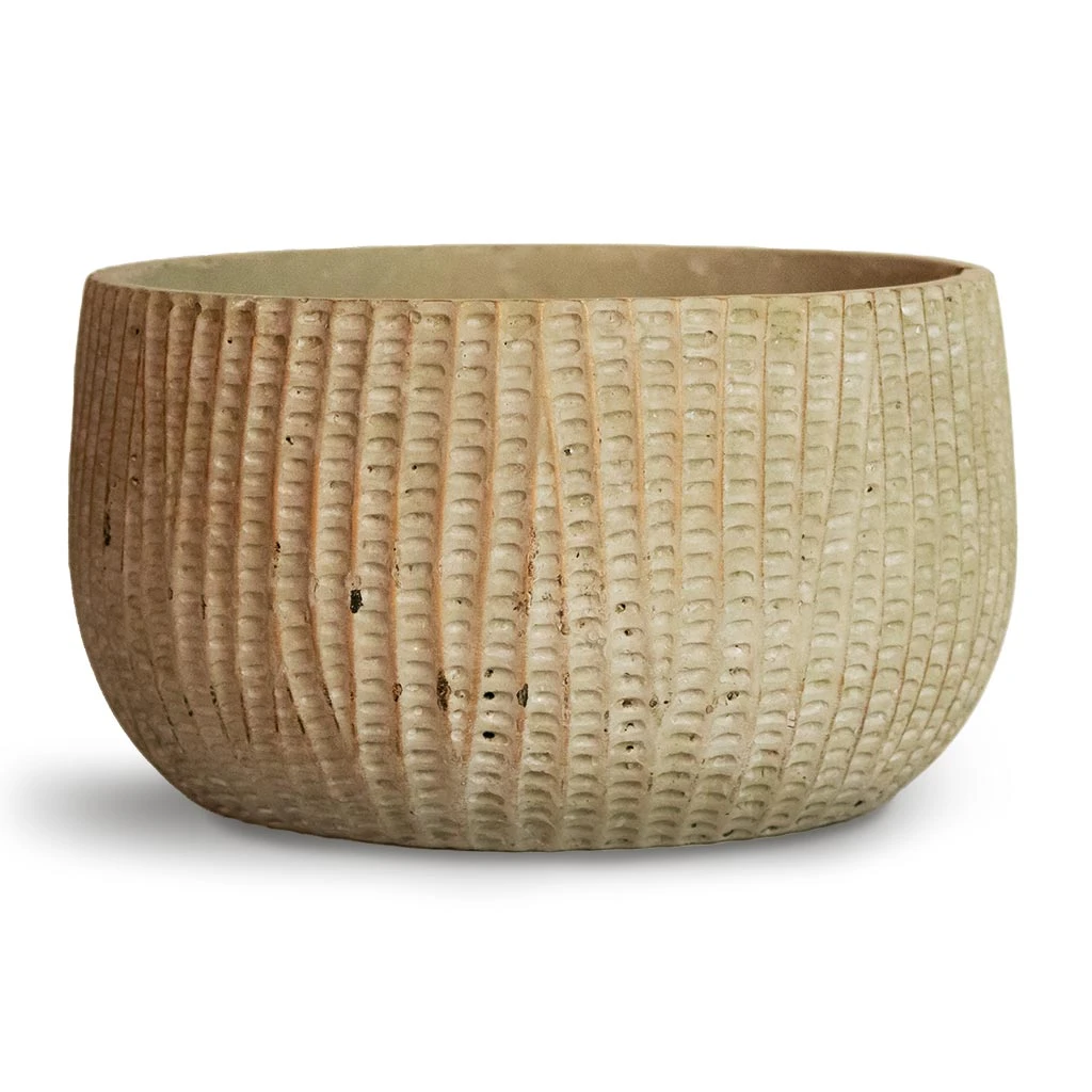 Feico Plant Bowl - Mint Grey 4 Feico Plant Bowl - Mint Grey - Image 2