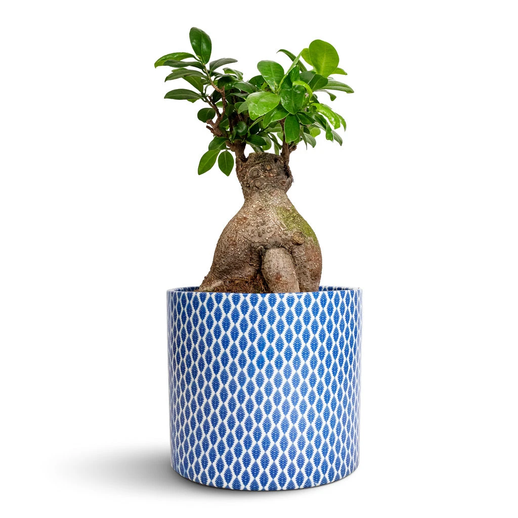 Lazzaro Plant Pot - Navy Garland 7 Lazzaro Plant Pot - Navy Garland - Image 5
