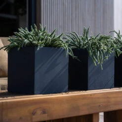 Fleur Natural Planter - Black -Plant potted plants FleurNaturalPlanter Black 5