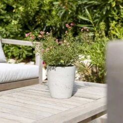 Gerben Plant Pot - Grey Washed -Plant potted plants Gerben Plant Pot Grey Washed Plant Pot Houseplant