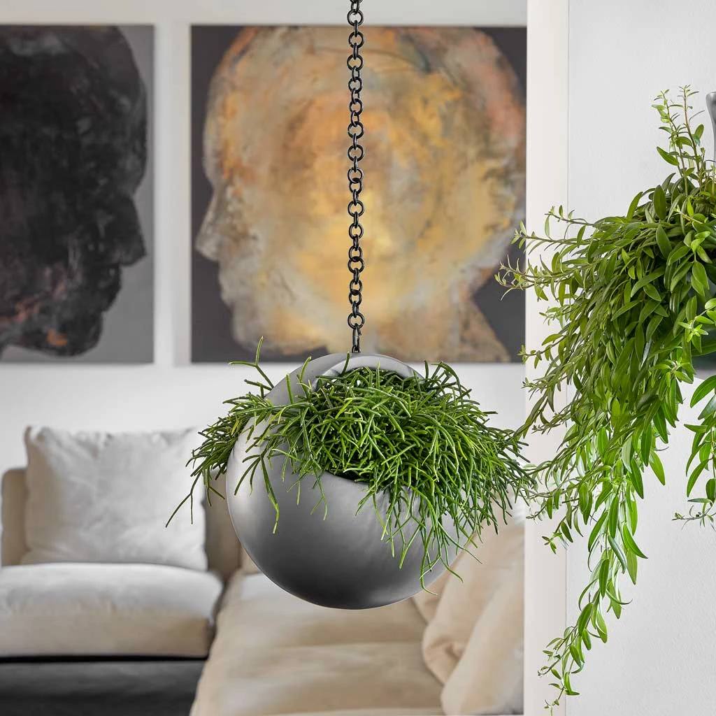 Gradient Hanging Basket - Matt Grey 4 Gradient Hanging Basket - Matt Grey - Image 2