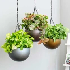 Gradient Hanging Plant Bowl - Matt Grey -Plant potted plants Gradient Hanging Plant Bowl a846980a 9fed 4358 b541 f69e0e6c33f4