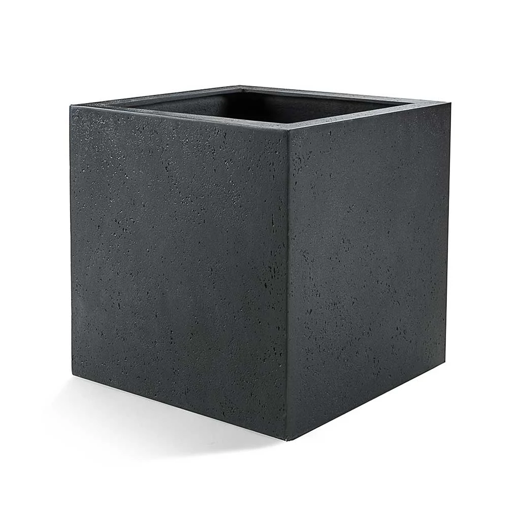 Grigio Cube Planter - Anthracite Concrete 3 Grigio Cube Planter - Anthracite Concrete