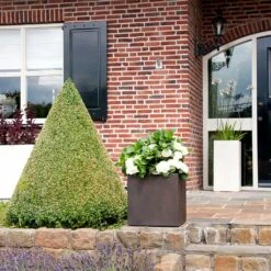 Grigio Cube Planter - Rusty Iron Concrete 11 Grigio Cube Planter - Rusty Iron Concrete -Plant potted plants Grigio Cube Planter Rusty Iron Concrete LS1