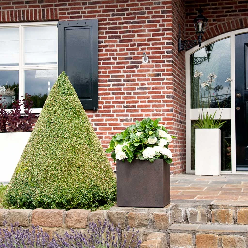 Grigio Cube Planter - Rusty Iron Concrete 6 Grigio Cube Planter - Rusty Iron Concrete - Image 4