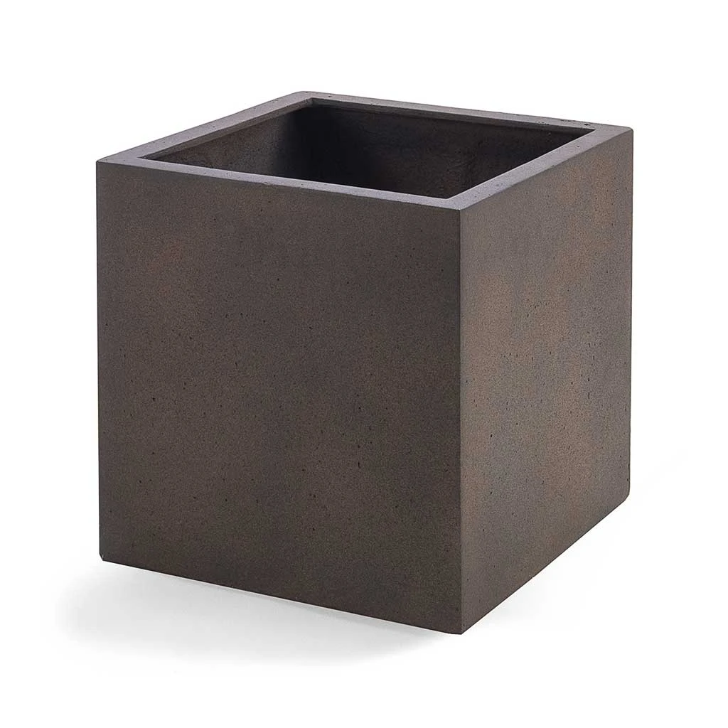 Grigio Cube Planter - Rusty Iron Concrete 3 Grigio Cube Planter - Rusty Iron Concrete