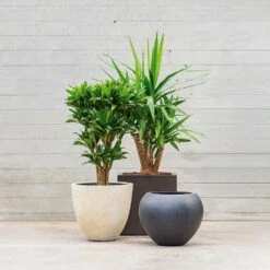 Grigio Egg Pot Planter - Antique White Concrete 13 Grigio Egg Pot Planter - Antique White Concrete -Plant potted plants Grigio Planters LS1