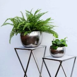 Hammered Bowl - Nickel With Black -Plant potted plants Hammered Bowl Nickel Black LS1