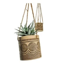 Haworthia Fasciala Alba -Plant potted plants Haworthia fasciala Alba Syb Hanging Planters Set of 2 Gold