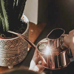 Haws Fazeley Flow Watering Can - One Pint Copper -Plant potted plants Haws Fazeley Flow One Pint Copper LS