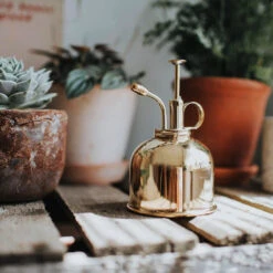 Plant potted plants -Plant potted plants Haws Smethwick Spritzer in Brass LS