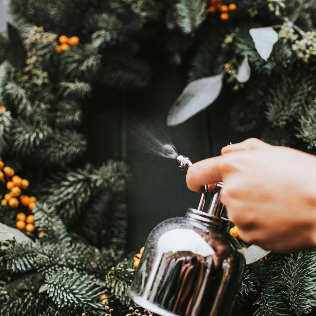 Plant potted plants -Plant potted plants Haws Smethwick Spritzer in Nickel 2