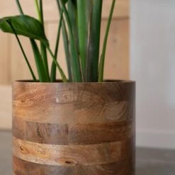 Helle Plant Pot - Natural 24 Helle Plant Pot - Natural -Plant potted plants Helle Natural 2