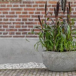 Hunter Mountain Planter - Granite Grey -Plant potted plants Hunter Mountain Planter Granite Grey Lifestyle 3