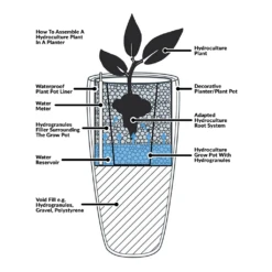 Dracaena Lemon Lime - Multi Stem - HydroCare 35 Dracaena Lemon Lime - Multi Stem - HydroCare -Plant potted plants Hydroculture Planter Diagram 5c7f5fd7 39c4 431c 9de8 084d994cf976