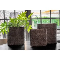 Isaac Plant Baskets - Set Of 3 - Oval - Black -Plant potted plants Isaac Plant Baskets Set of 3 Oval Black Indoor Plants