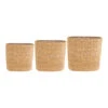 Isaac Plant Baskets - Set Of 3 - Oval - Natural -Plant potted plants Isaac Plant Baskets Set of 3 Round Natural