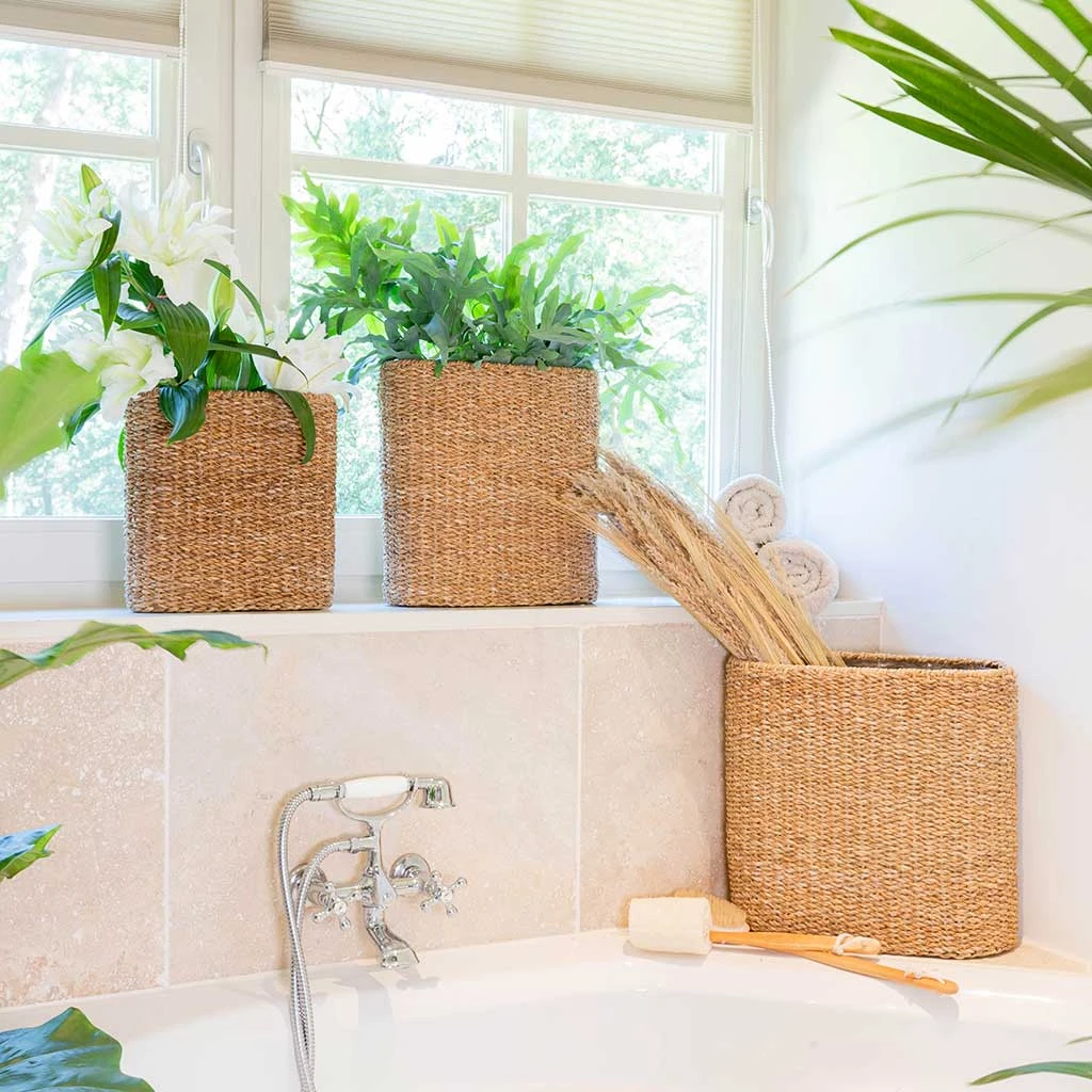 Isaac Plant Baskets - Set Of 3 - Oval - Natural 5 Isaac Plant Baskets - Set Of 3 - Oval - Natural - Image 3