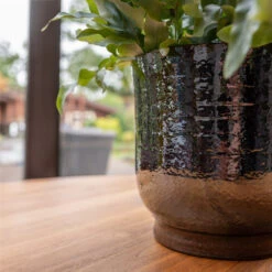 Jayla Plant Pot - Espresso -Plant potted plants Jayla Espresso 2