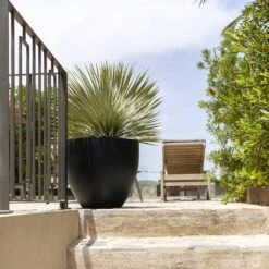 Jesslyn Natural Planter - Black -Plant potted plants Jesslyn Natural Planter Black Large Patio Planter da61951c e7e8 4898 be23 5e29fba17043