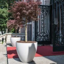 Jesslyn Refined Planter - Natural White -Plant potted plants Jesslyn Refined Planter Natural White Entrance Planter