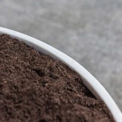 Jesslyn Refined Planter - Natural White -Plant potted plants Jesslyn Refined Planter Natural White Rim