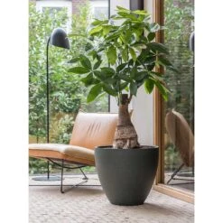 Jesslyn Refined Planter - Pine Green 16 Jesslyn Refined Planter - Pine Green -Plant potted plants Jesslyn Refined Planter Pine Green Office Planters