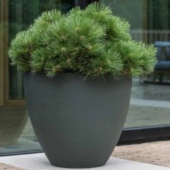 Jesslyn Refined Planter - Pine Green 18 Jesslyn Refined Planter - Pine Green -Plant potted plants Jesslyn Refined Planter Pine Green Outdoor Plant Display