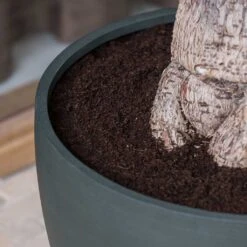 Jesslyn Refined Planter - Pine Green 17 Jesslyn Refined Planter - Pine Green -Plant potted plants Jesslyn Refined Planter Pine Green Rim