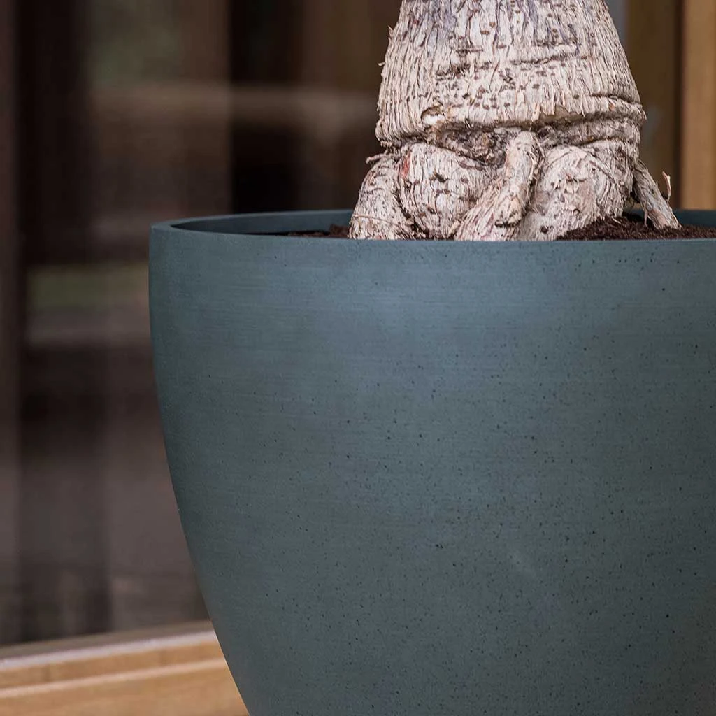 Jesslyn Refined Planter - Pine Green 6 Jesslyn Refined Planter - Pine Green - Image 4