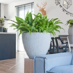 Jesslyn Plant Pot - Ridged Cement -Plant potted plants JesslynPlantPot RidgedCement 2