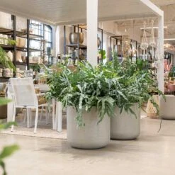 Jumbo Charlie Planter - Stone Washed -Plant potted plants Jumbo Charlie Planter Stone Washed Indoors