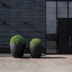 Jumbo Jesslyn Natural Planter - Black -Plant potted plants Jumbo Jesslyn Natural Planter Black Entrance Planters