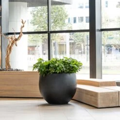 Jumbo Orb Natural Orb Planter - Black -Plant potted plants Jumbo Orb Natural Orb Planter Black Office Reception Planter