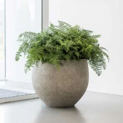Jumbo Orb Planter - Stone Washed -Plant potted plants Jumbo Orb Planter Stone Washed Office Plants