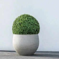 Jumbo Orb Planter - Stone Washed -Plant potted plants Jumbo Orb Planter Stone Washed Topiary Box Hedge