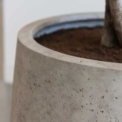 Jumbo Patt Planter - Stone Washed -Plant potted plants Jumbo Patt Planter Stone Washed Close Up