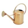 Kensington Indoor Traditional Watering Can 2L - Copper -Plant potted plants Kensington Indoor Traditional Watering Can 2L Copper 2