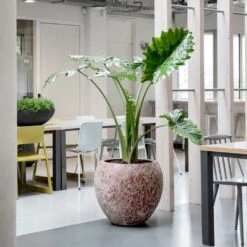 Lava Balloon Relic Planter - Pink -Plant potted plants Lava Balloon Relic Planter Pink 3