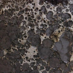 Lava Balloon Relic Planter - Black -Plant potted plants Lava Couple Straight Relic Planter Black 2 a4a94e3a 86a4 4f76 9d1c 74e7adeb397d