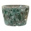 Lava Couple Straight Relic Planter - Jade -Plant potted plants Lava Couple Straight Relic Planter Jade