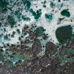 Lava Cube Relic Planter - Jade 18 Lava Cube Relic Planter - Jade -Plant potted plants Lava Couple Straight Relic Planter Jade 19x13cm Colour Swatch 1 6fc30a91 83ed 41d0 b59f 278727c76845