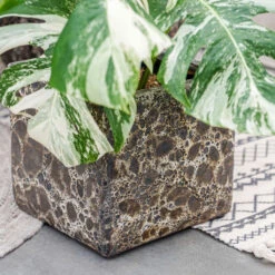 Lava Cube Relic Planter - Black -Plant potted plants Lava Cube Relic Planter Black 1