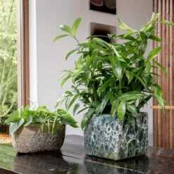 Lava Cube Relic Planter - Jade 24 Lava Cube Relic Planter - Jade -Plant potted plants Lava Cube Relic Planter Jade Lifestyle