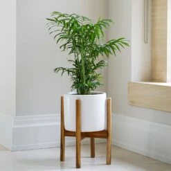 Anzio Plant Pot With Wooden Stand - Stone White 10 Anzio Plant Pot With Wooden Stand - Stone White -Plant potted plants Lifestyle Anzio Plant Pot with Wooden Stand Stone White 24x24cm