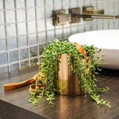 Floro Hanging Plant Pot - Copper 14 Floro Hanging Plant Pot - Copper -Plant potted plants Lifestyle Floro Hanging Plant Pot 13x13cm 2