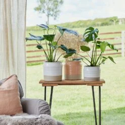 Puro Ripple Plant Pot - White -Plant potted plants Lifestyle Puro Ripple Plant Pot 21x19cm 78129612 f541 46ee b1c8 f828cfeb6eb8