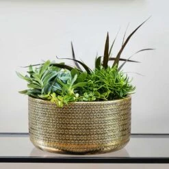 Solis Embossed Plant Bowl - Gold -Plant potted plants Lifestyle Solis Embossed Plant Bowl Gold 30x15cm
